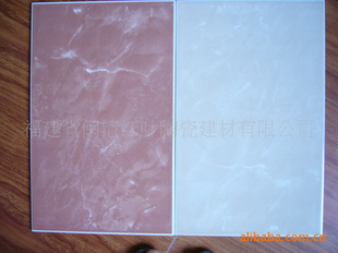 Ҳ͸ˮǽש250x400mm