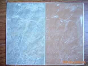 Ҵǹǽש250x400mm