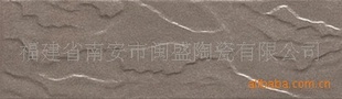 ǽ60*200mmǽͨש