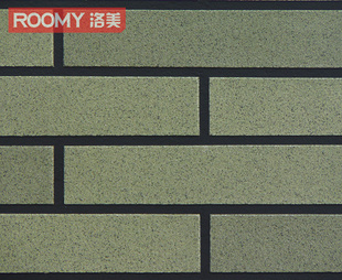 ROOMYͨǽשT2102