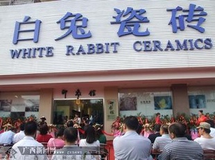 企:瓷砖,45X145白兔外墙砖白兔牌瓷砖厂家直供,.