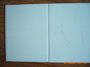 Ҵ͸ˮǽש250x400mm