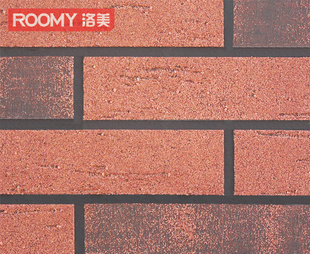 ROOMYͨ¹שS0511