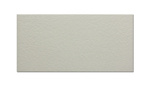 ͨשϵУǽש150*300mm