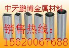 䴿Ǧ壨