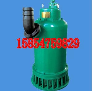 BQS110-88-45NɳǱˮ