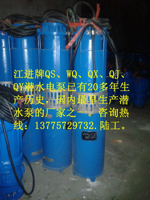 QY25-56/2-7.5ʽǱˮ