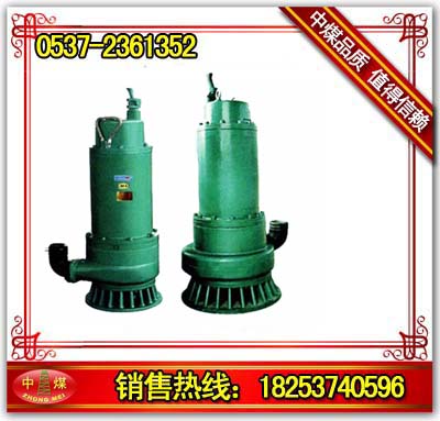 BQS15-45-5.5/NǱˮ|÷Ǳˮ