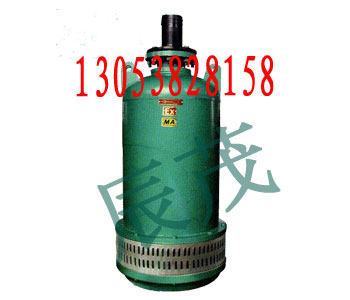 BQS20-65-11øǱˮ