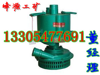 ƼFQW30-70÷綯Ǳˮ