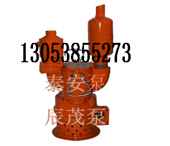 FQW10-80/CK÷綯Ǳˮ
