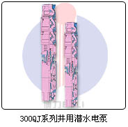 300QJǱˮ