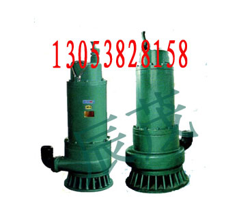 BQS20-40-5.5ǱˮáҹӦ
