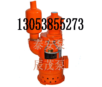 ʽ÷綯Ǳˮ