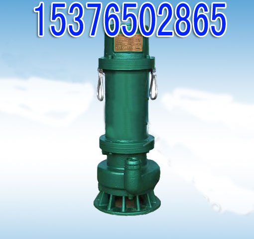BQS60-50-22/NǱˮ,22KWɳ