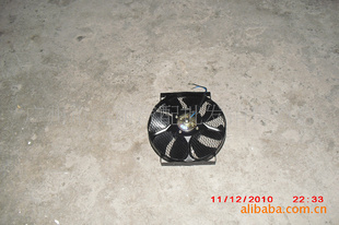 ֱ12V10.ͨ