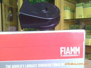 FIAMMɳۣķţAM80S