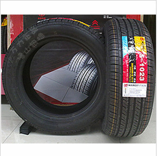 ĥ̥205/55R1691V˼л