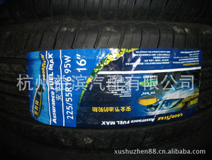 ̥225/55R1695W