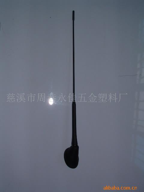 β