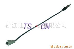 ߣӭ紹ѯ