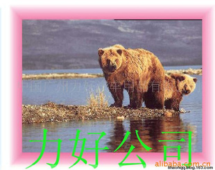 --涩