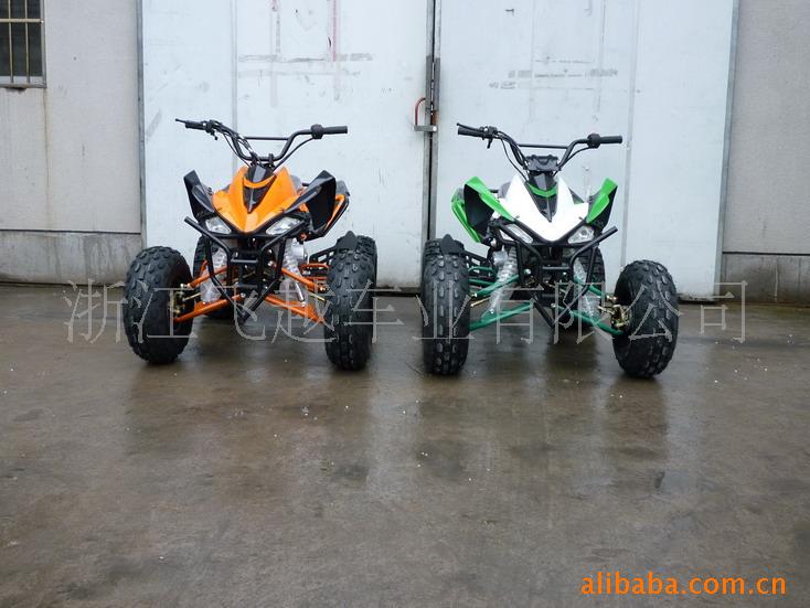 2010¿С110CCɳ̲