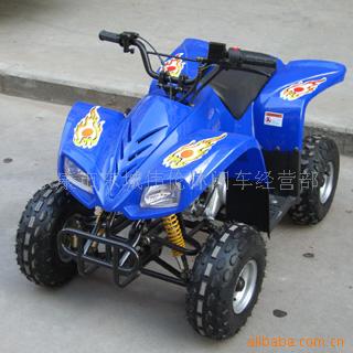110CCɳ̲ATV