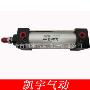 SC50*125׼50-12550×125ǵ¿