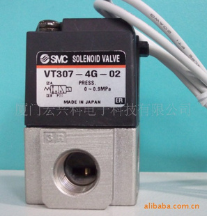 VT307-4G-02DC24V