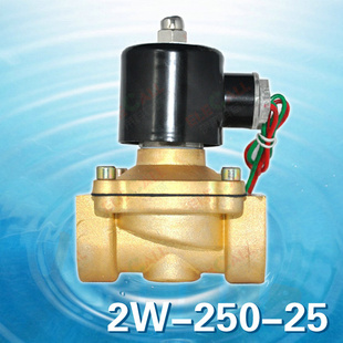 elecallͭŷ2W-250-25ˮͷ1AC220V