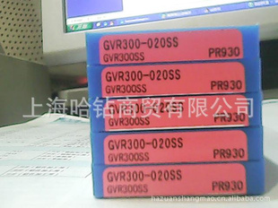 ƬGVR300-020SSPR930