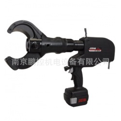 ձIZUMIҺѹLIC-585YC