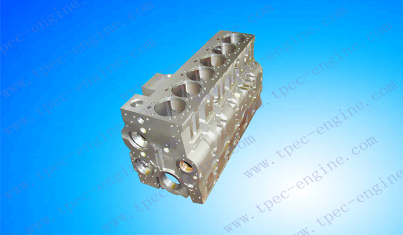 ˹6CT¸