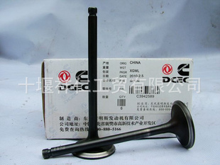 翵˹L3942589