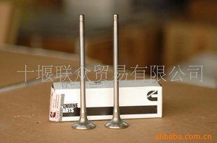 Cumminsš翵˹M11