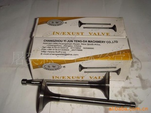 ׻S195ũţVALVE)