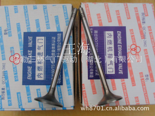 EA888װϺEA888