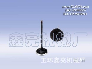 XL-971ŷOE13711-22030