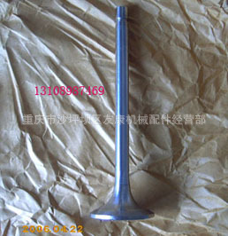 KT38-Gװ˹3035110