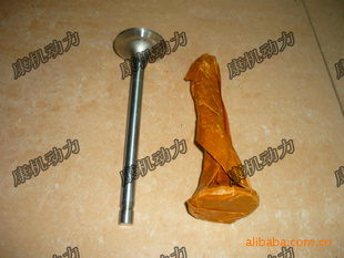 排进气门3088389、3052820value,exhaus、value,intake