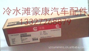 ˹KTA19ǿ3088389