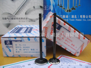 ͨC14ϵ1.4L16Vװ