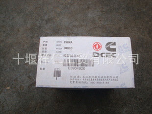 翵˹6CTҡ3934920