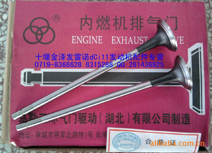 ŵdCi11D5010412878