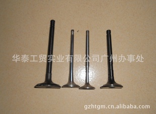 оAutovalvecore