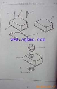 3010388쿵˹ҡҸ