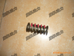 ˹spring,valve3916588