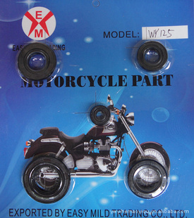 ͷȫͷWY125