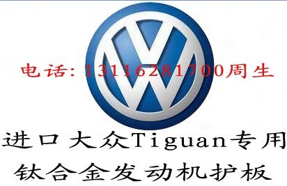 ӦڴTiguan